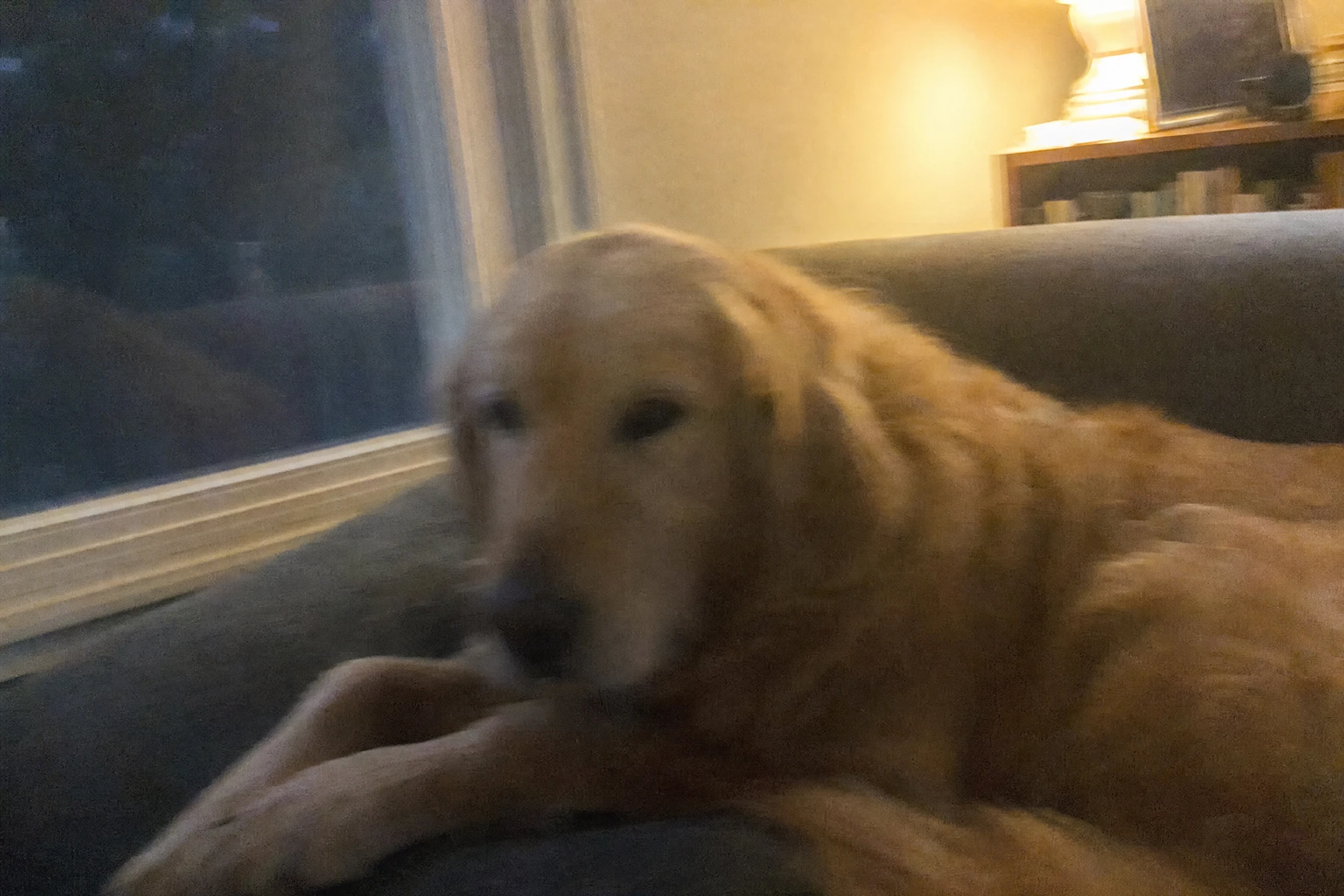 Unblur & fix low light — before editing